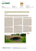 La forêt 5.9.25